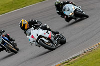 PJ-Motorsport-2019;anglesey-no-limits-trackday;anglesey-photographs;anglesey-trackday-photographs;enduro-digital-images;event-digital-images;eventdigitalimages;no-limits-trackdays;peter-wileman-photography;racing-digital-images;trac-mon;trackday-digital-images;trackday-photos;ty-croes